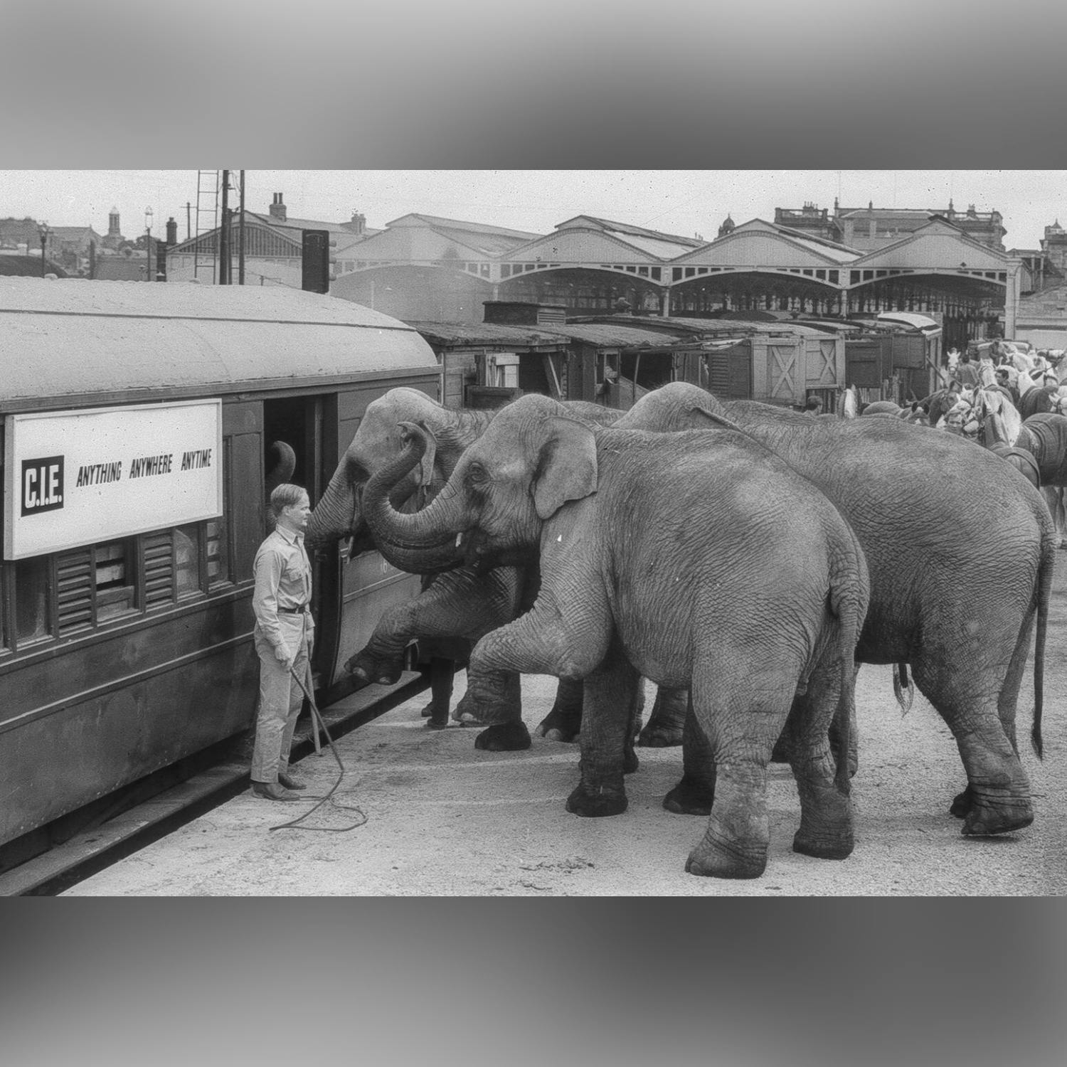 CIÉ digitises and releases public archive of records CIÉ digitises and releases public archive of records