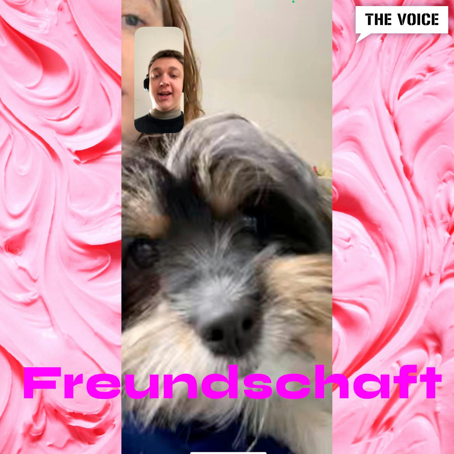 Freundschaft & friends