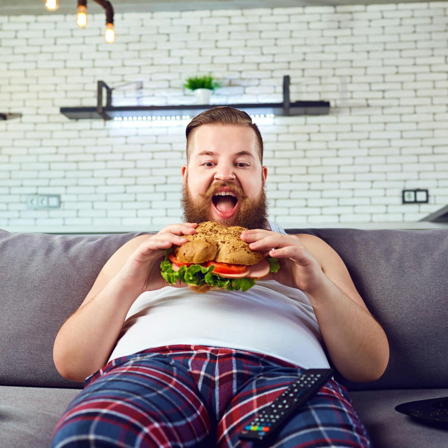 Salad Cream Sandwiches, And WhatsApp Updates Image