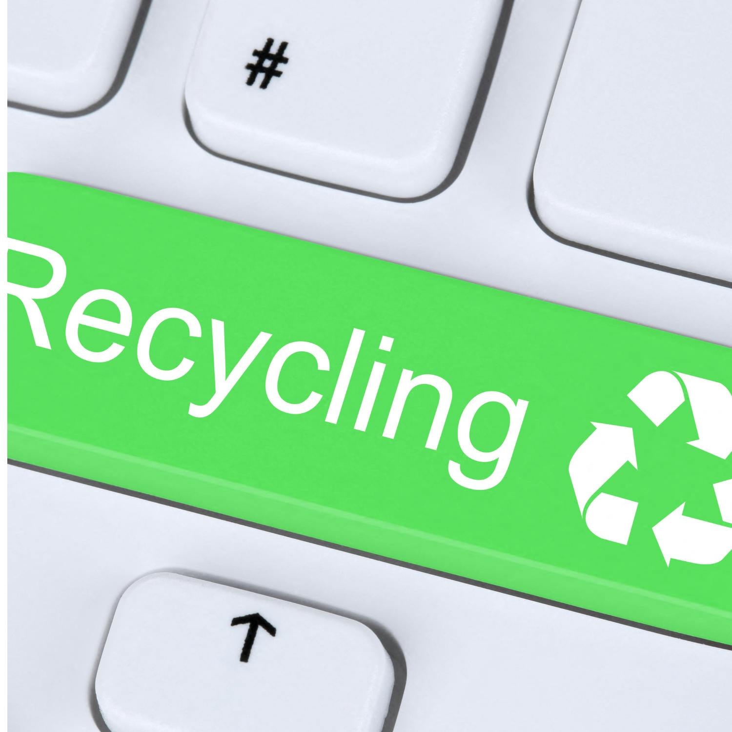 Going Green: Repak is featuring at Bloom 2026