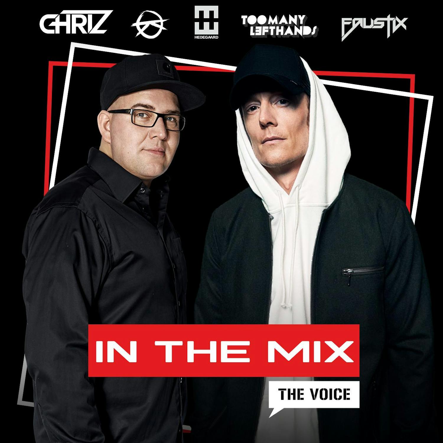 The Voice In The Mix