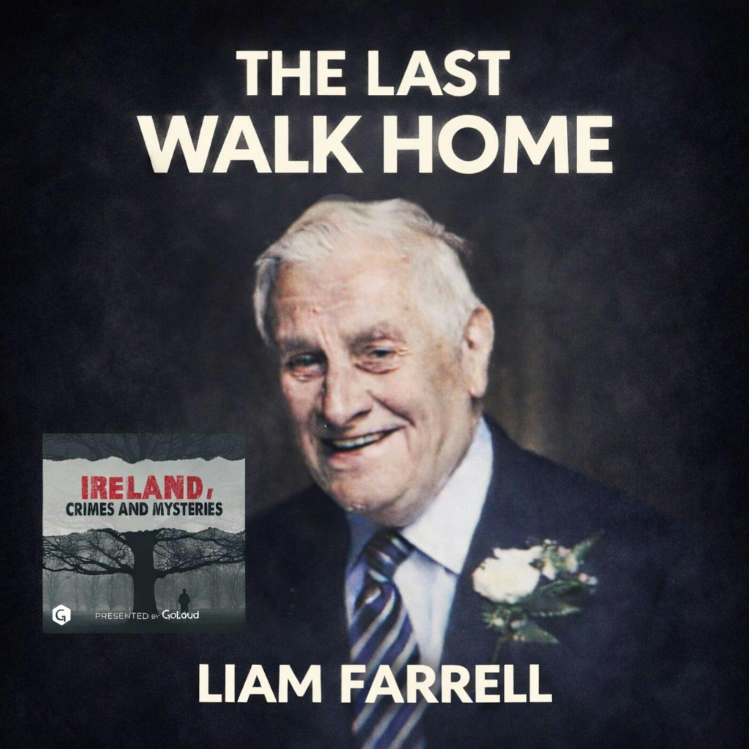 The Last Walk Home, Liam Farrell The Last Walk Home, Liam Farrell