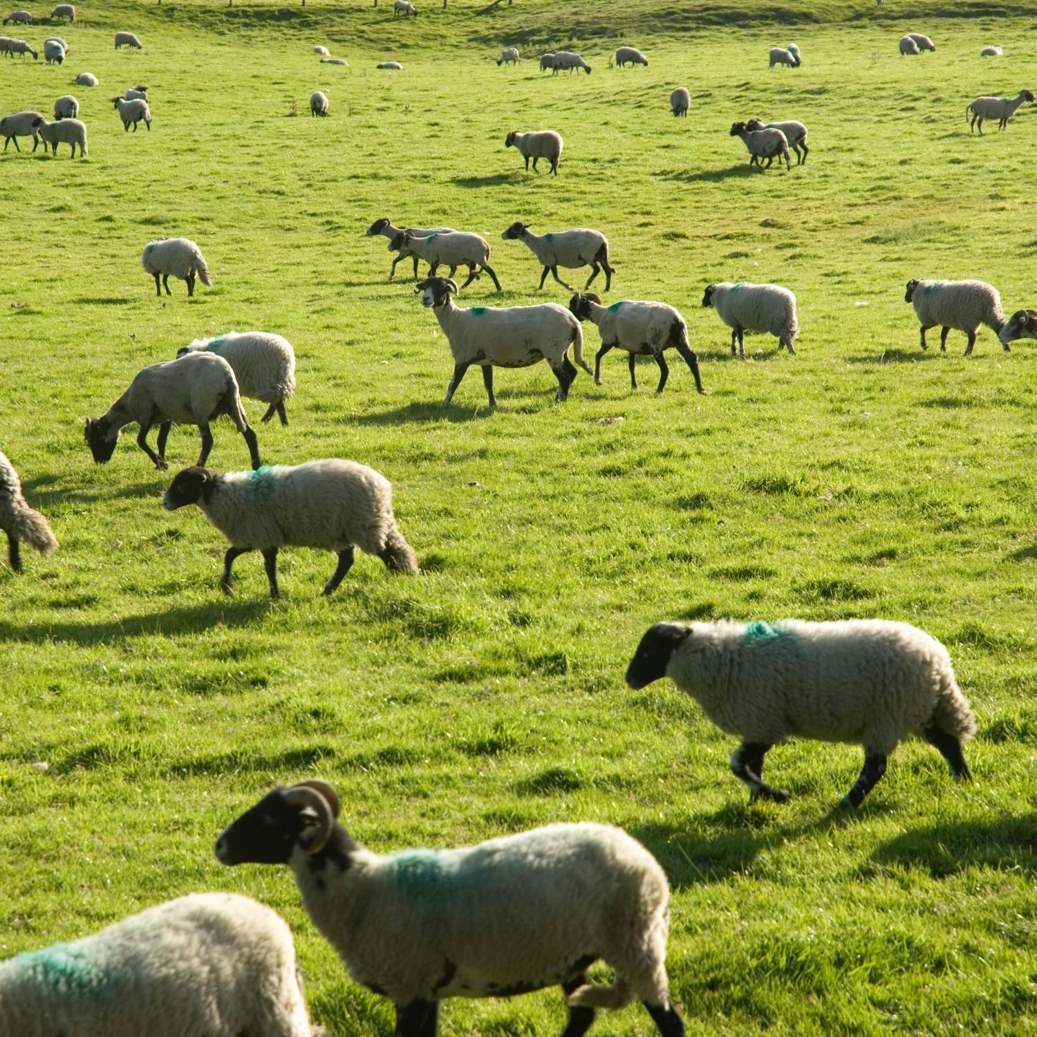 How is the dry spell impacting farmers?
