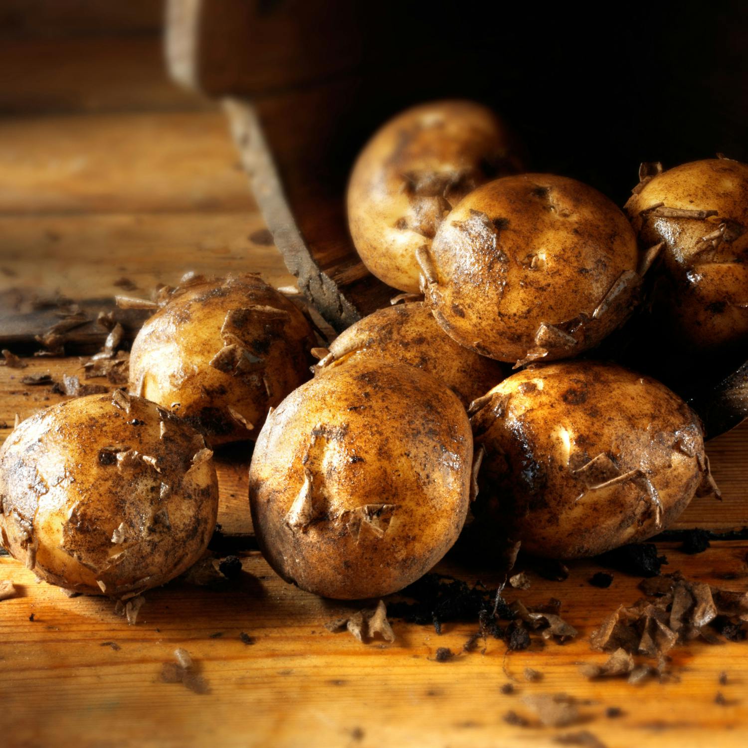 Friday National Potato Day with Gareth Mullins