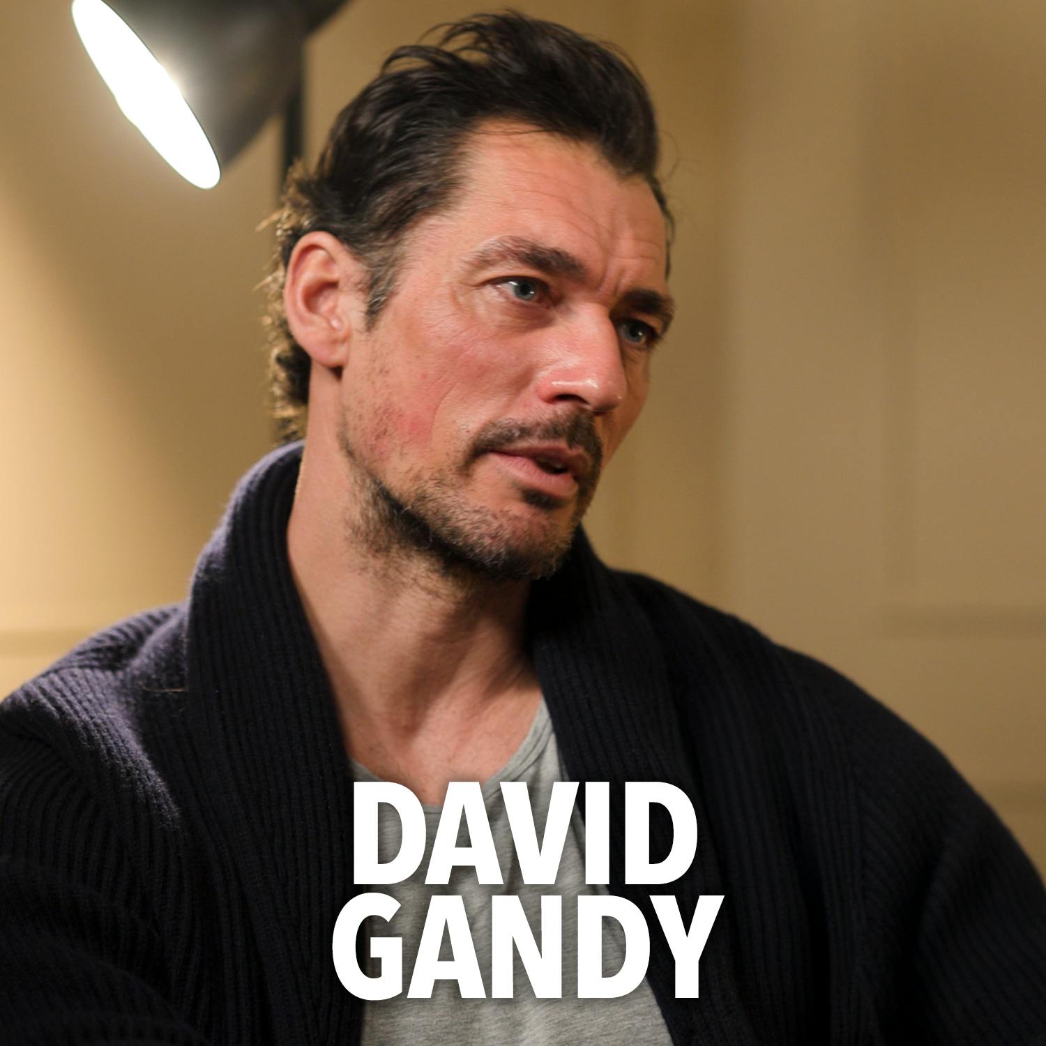 David Gandy: The Perfect Man? episode artwork