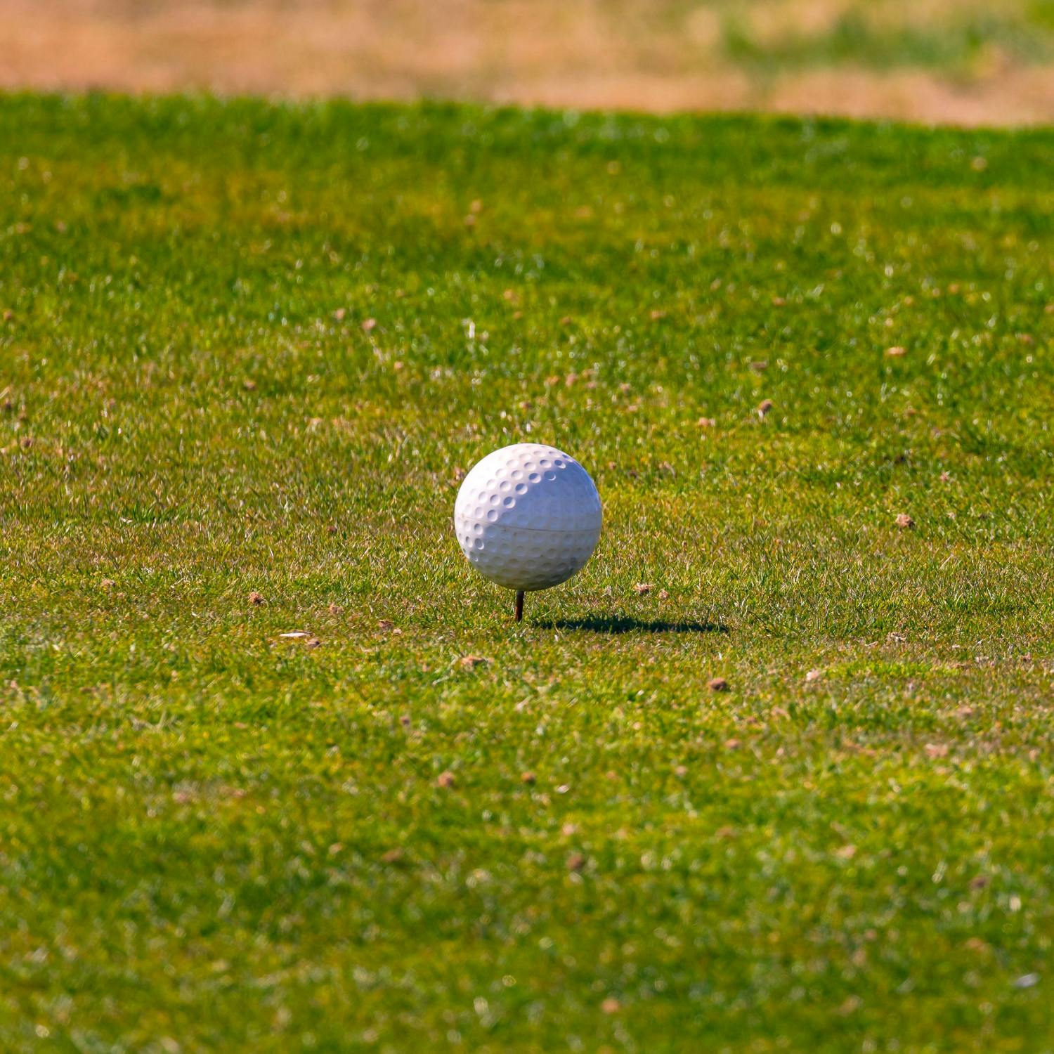 The Ryder Cup’s upcoming impact on local business - Bairbre Holmes Reports episode artwork