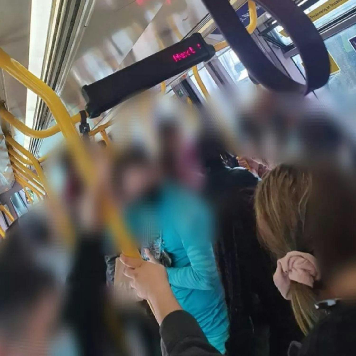 "My Mum Was Mugged On The Luas By Crime Gang & Nobody Intervened"