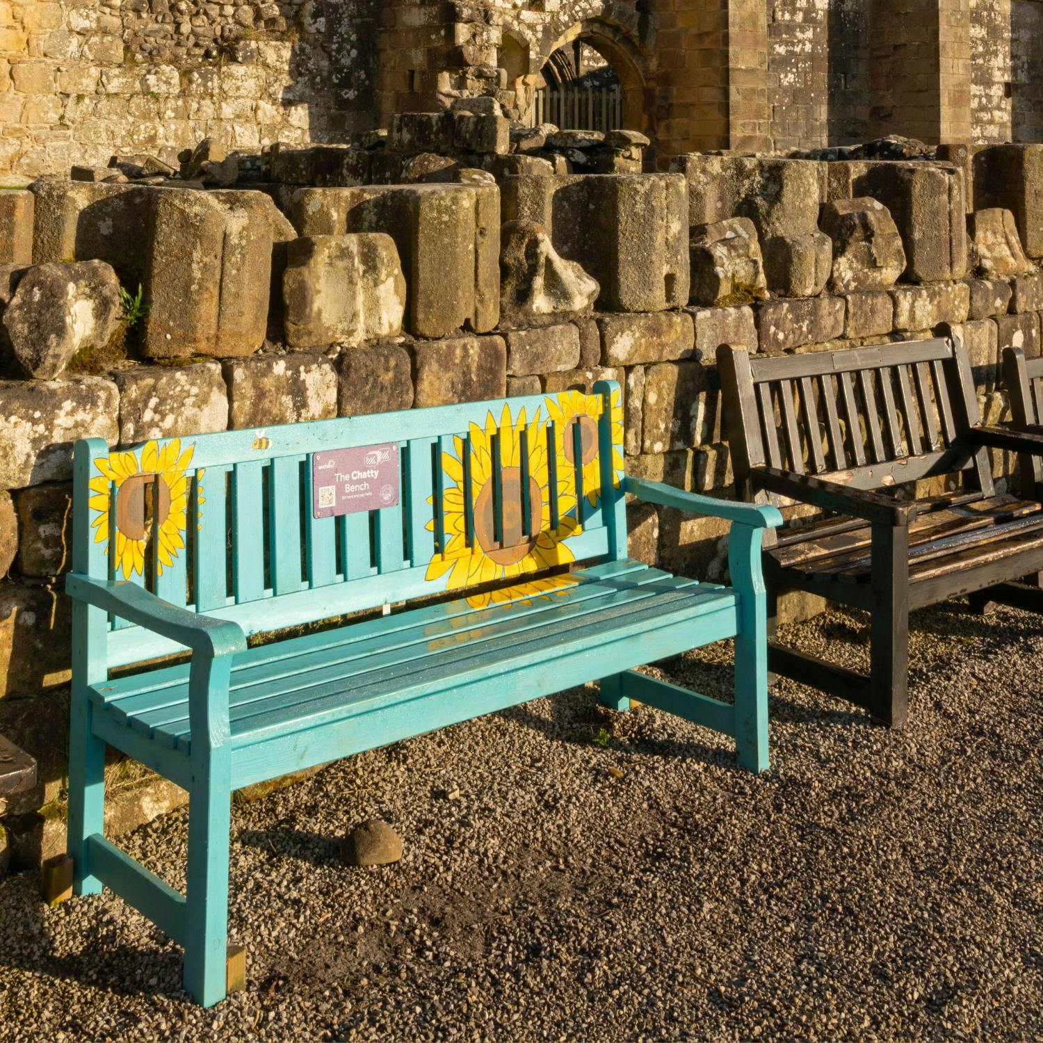 A call for ‘Chatty’ benches to be installed in North County Dublin episode artwork