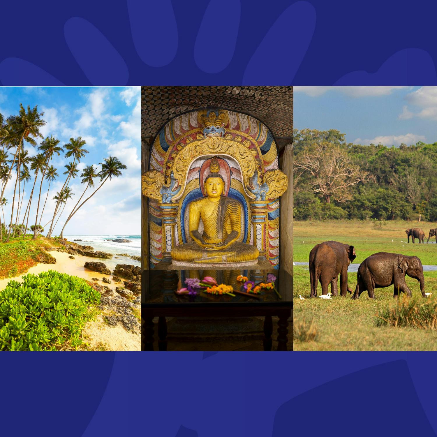 The Last Word On Travel: Sri Lanka