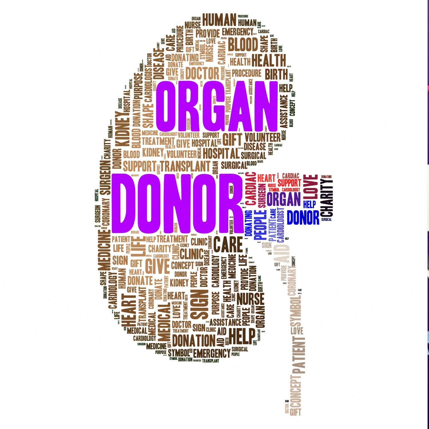 Chronic kidney disease affects around one in ten people in Ireland