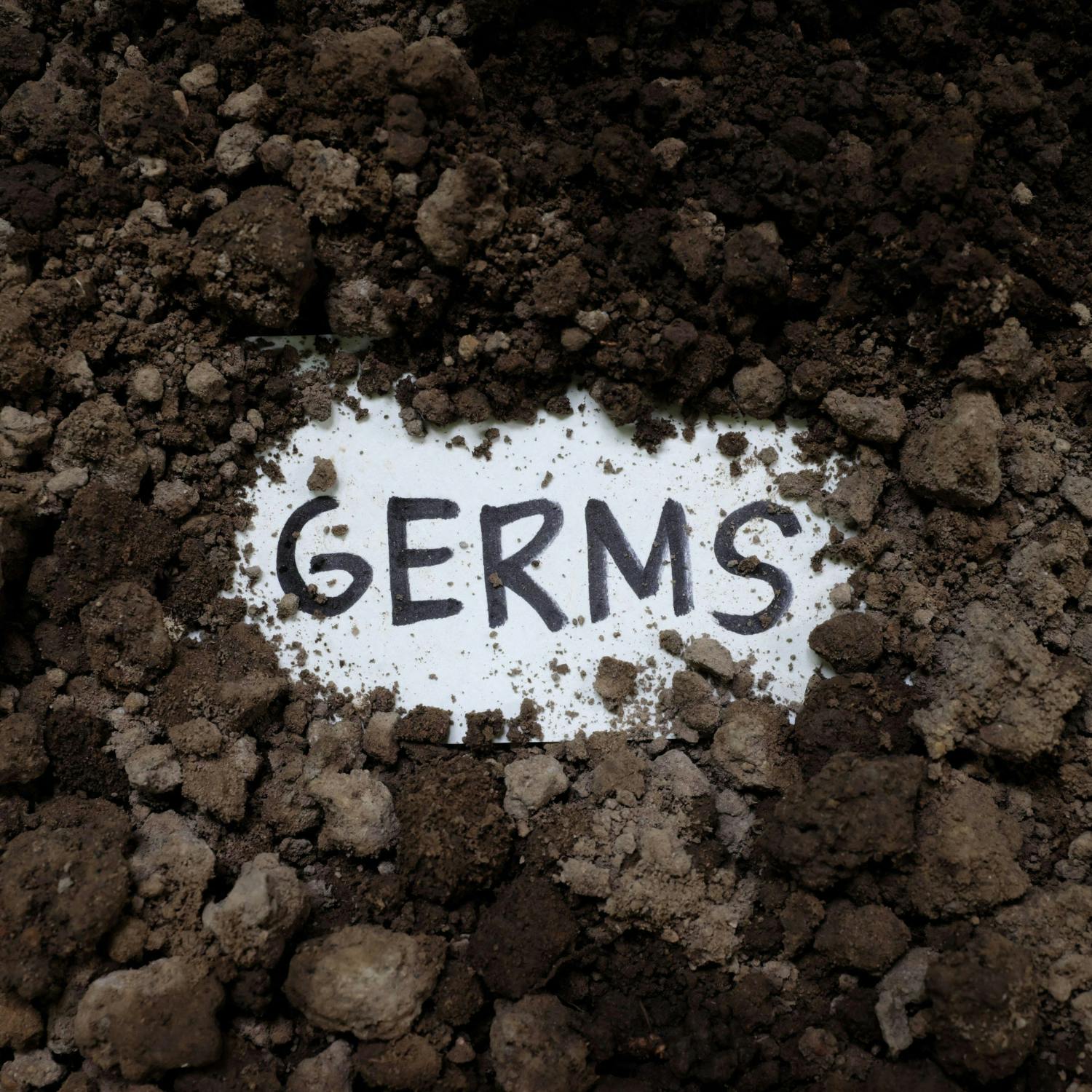 How germy are we really? Image