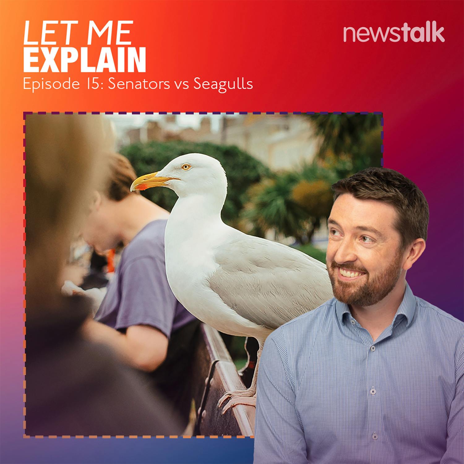 15. Senators vs Seagulls