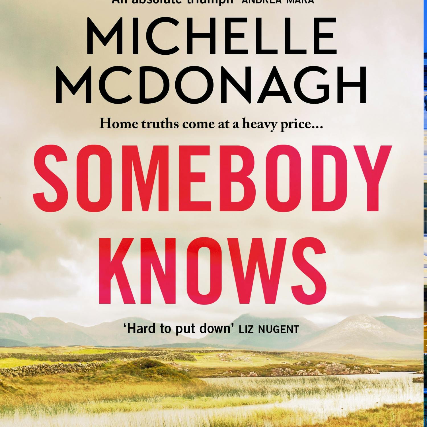 Bestselling author Michelle McDonagh on her new book