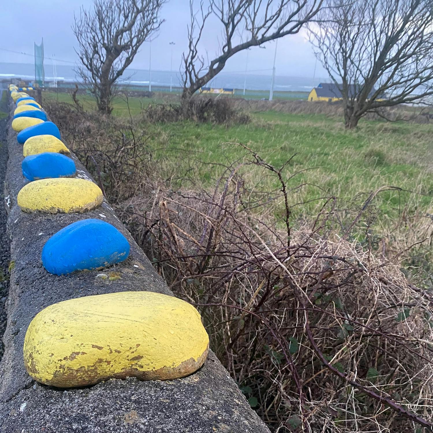 Ocean FM News Reports