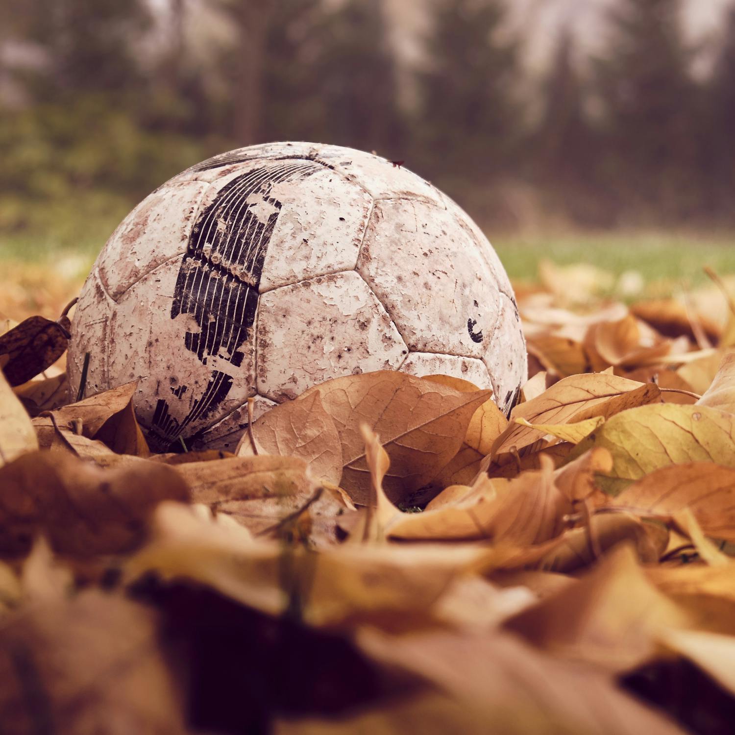 How football can rewire your brain