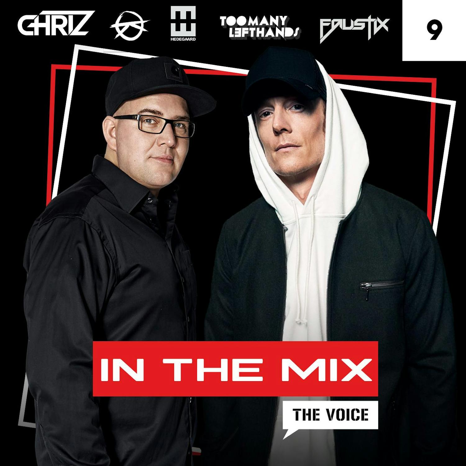 The Voice In The Mix