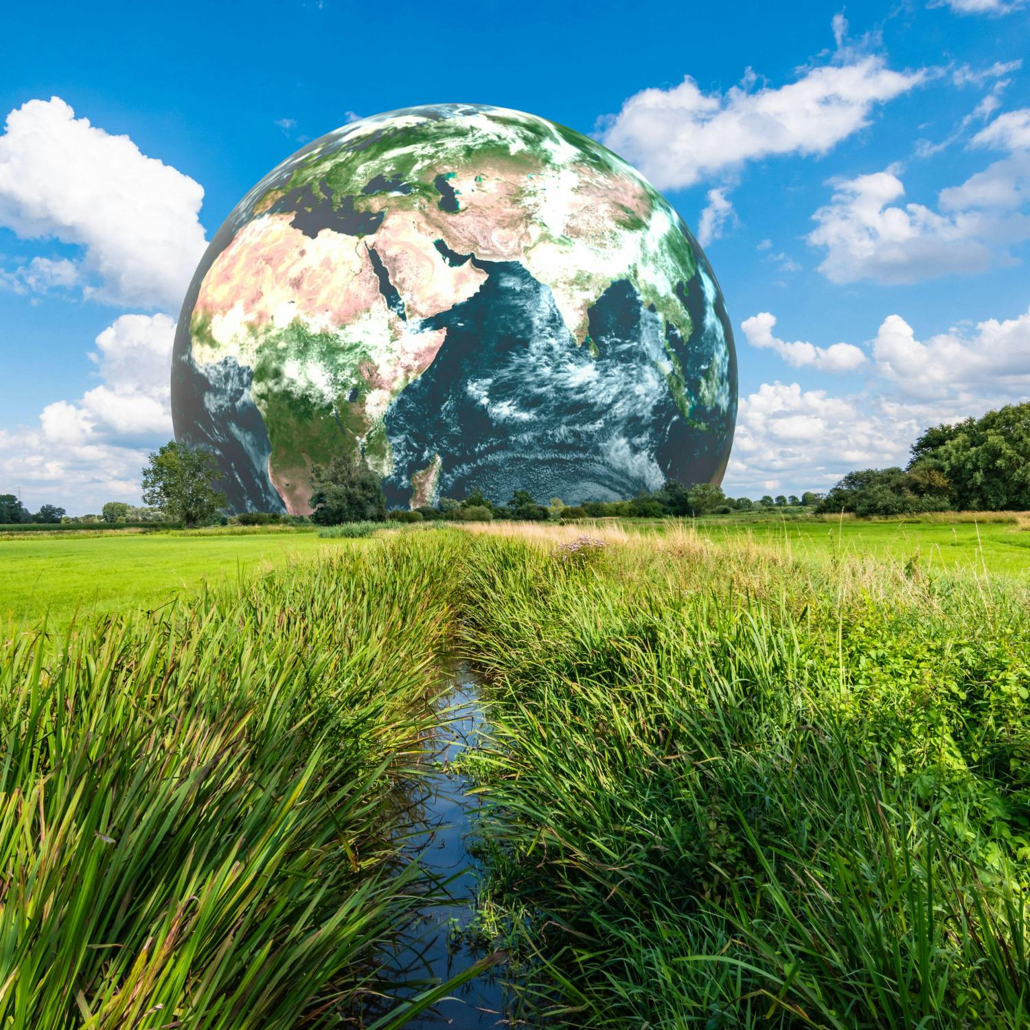 Going Green: Ours and the planet's wellbeing