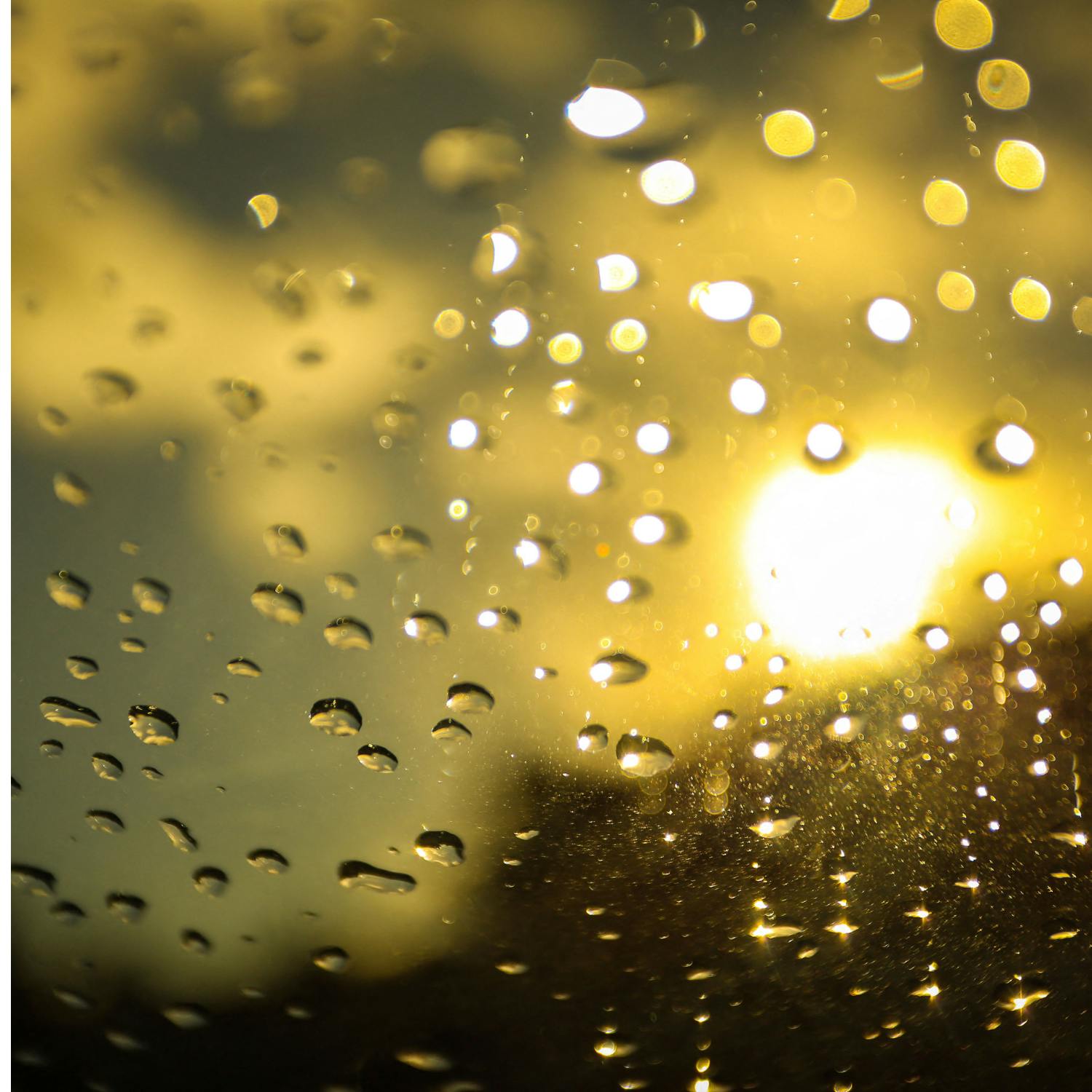 Good news the weather will get better!