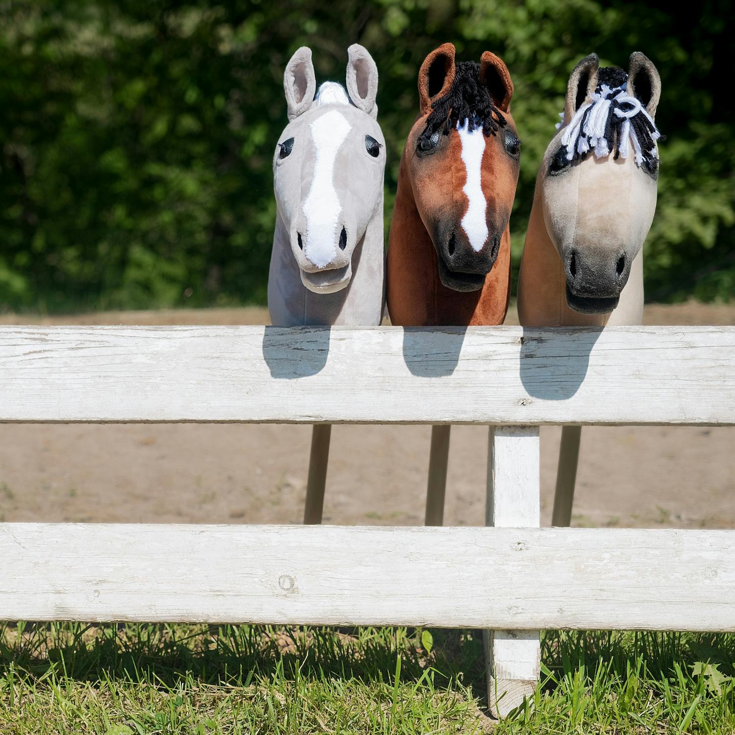 The Finland hobbyhorse Championships
