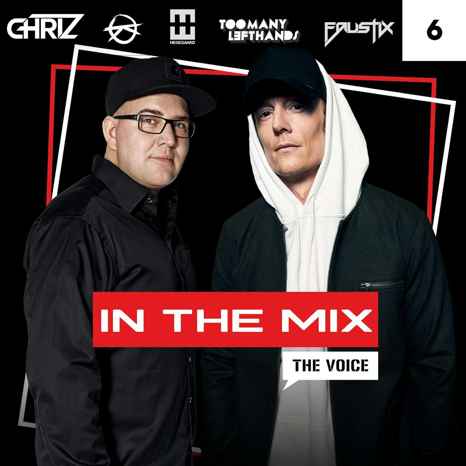 The Voice In The Mix