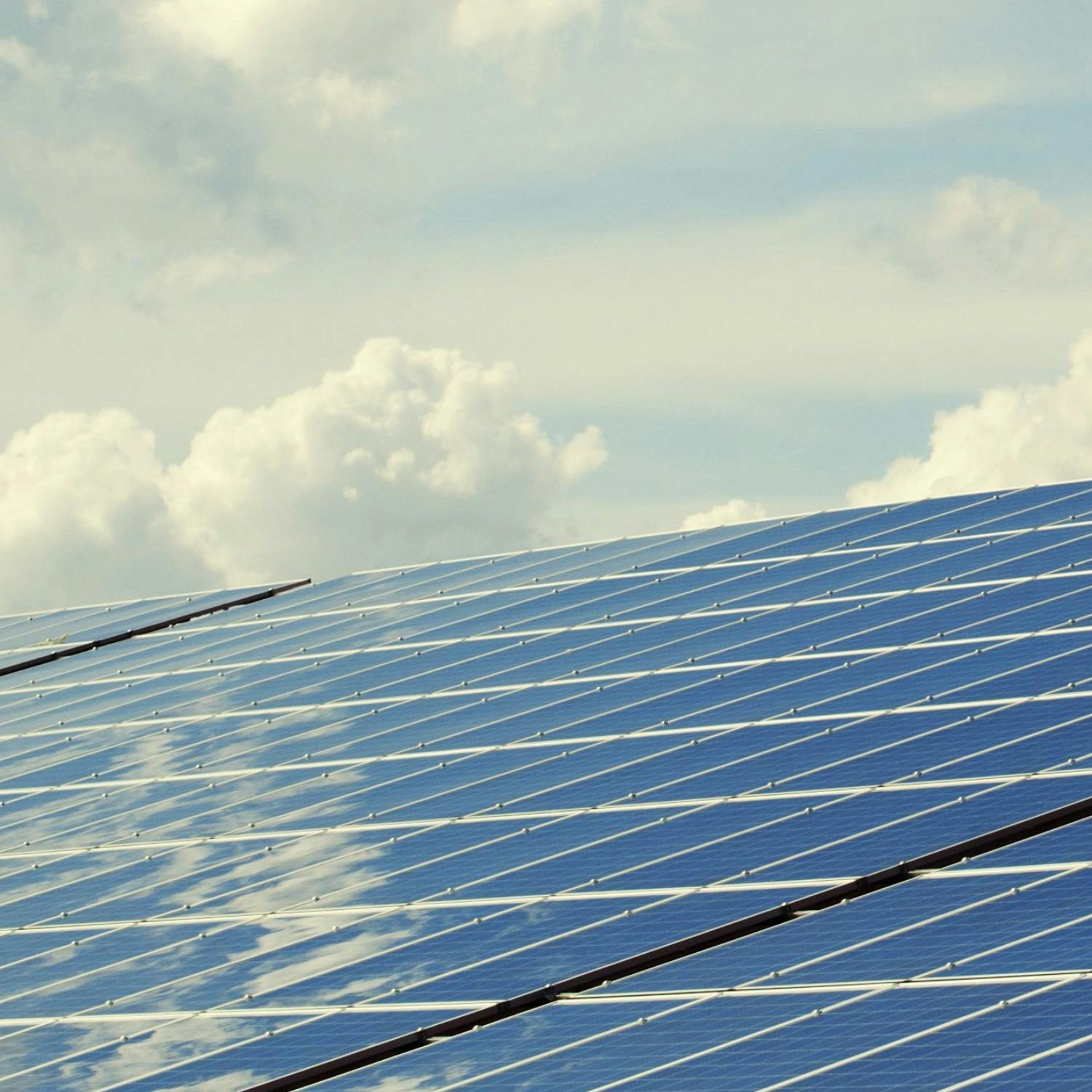 Is renewable energy the answer for our current crisis?