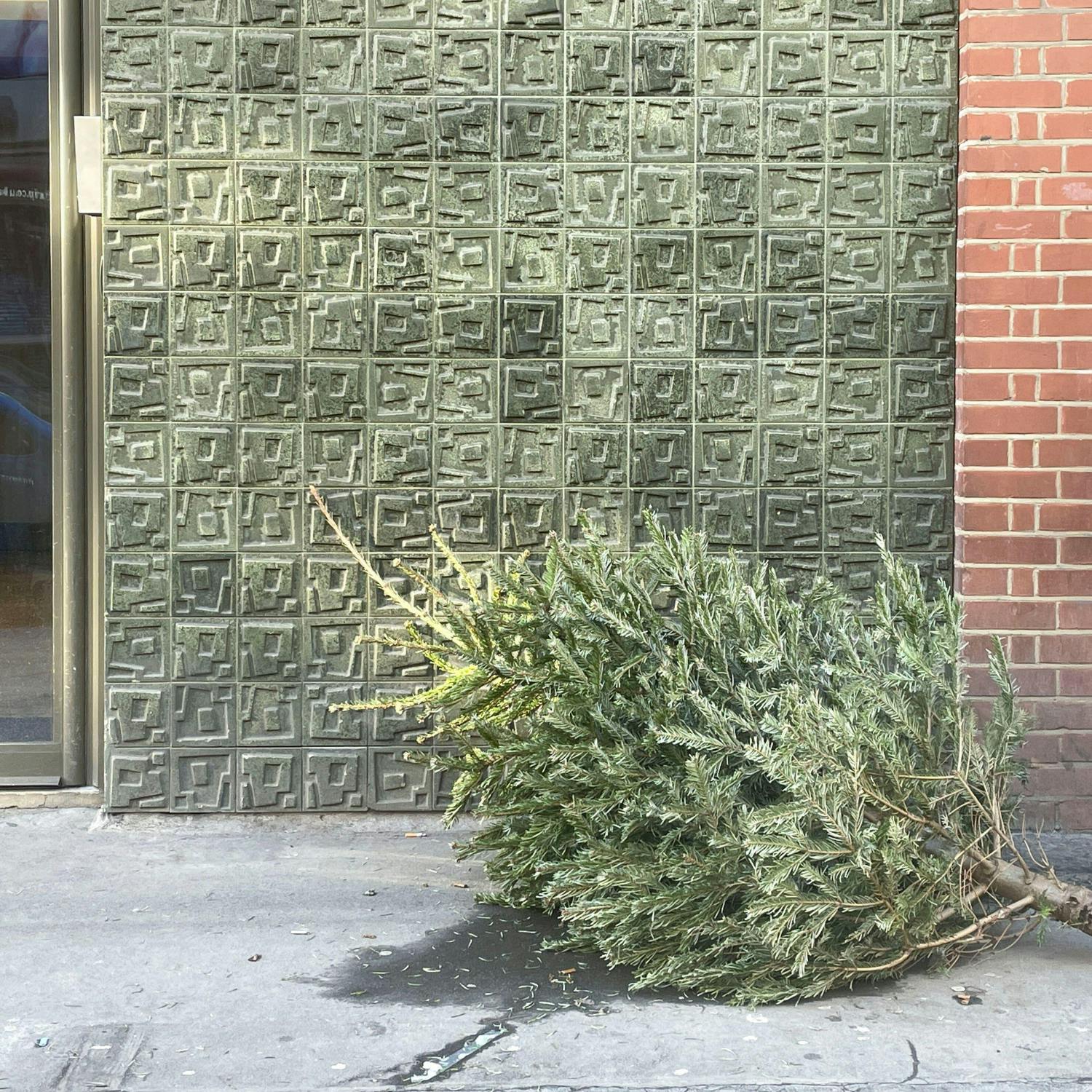 Handling all the waste from Christmas week!