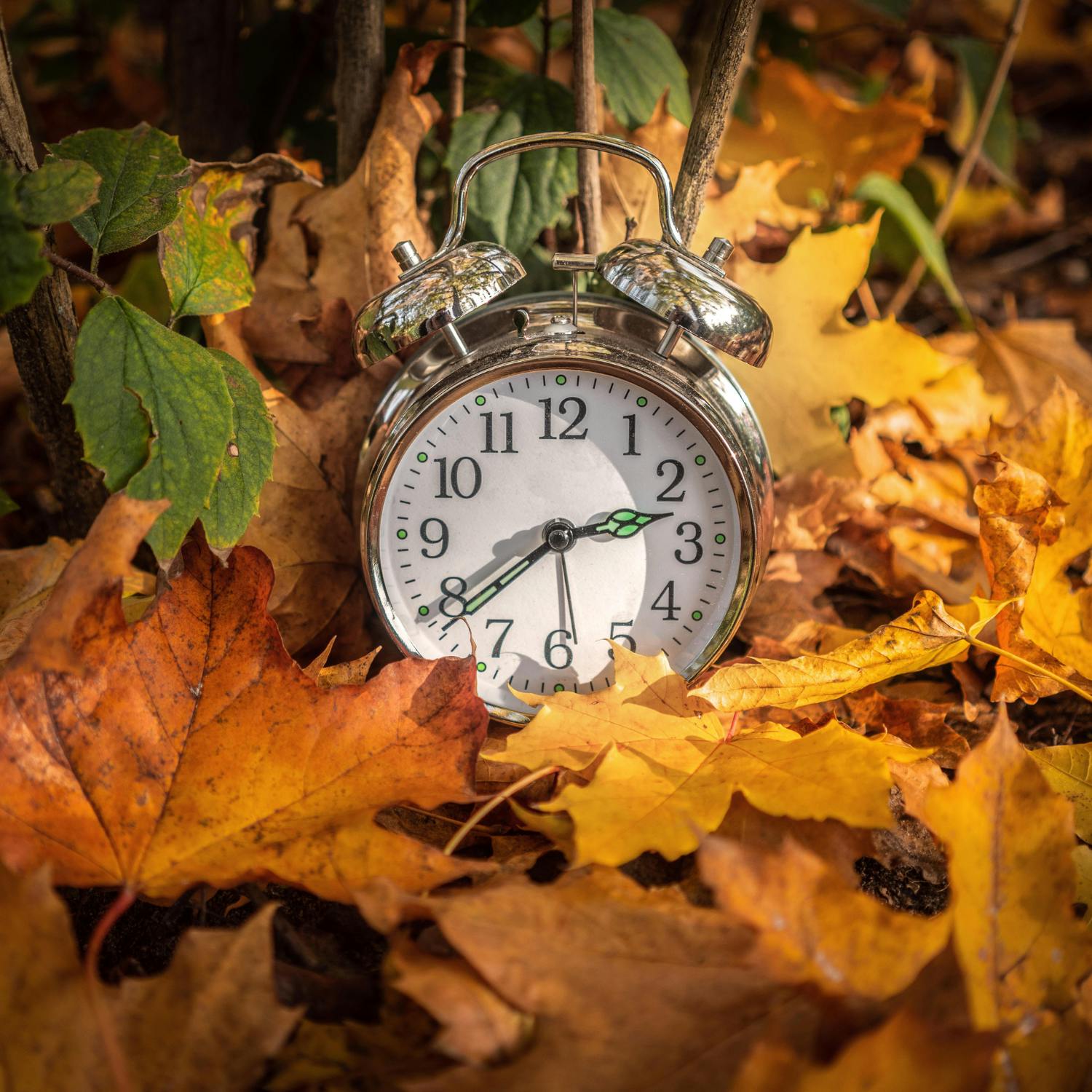 Is it time to scrap changing the clocks?
