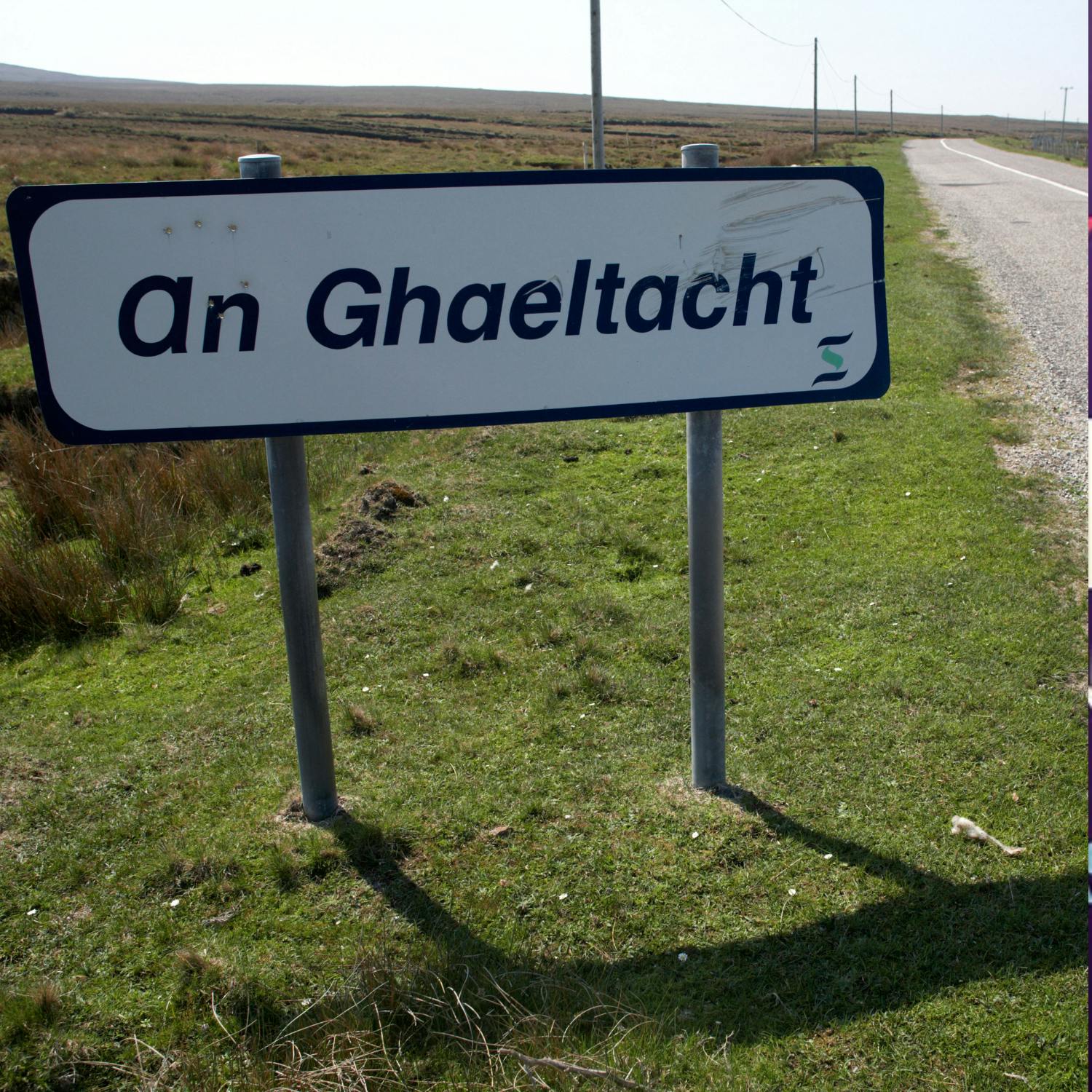 Families raising their children through Irish is falling Families raising their children through Irish is falling