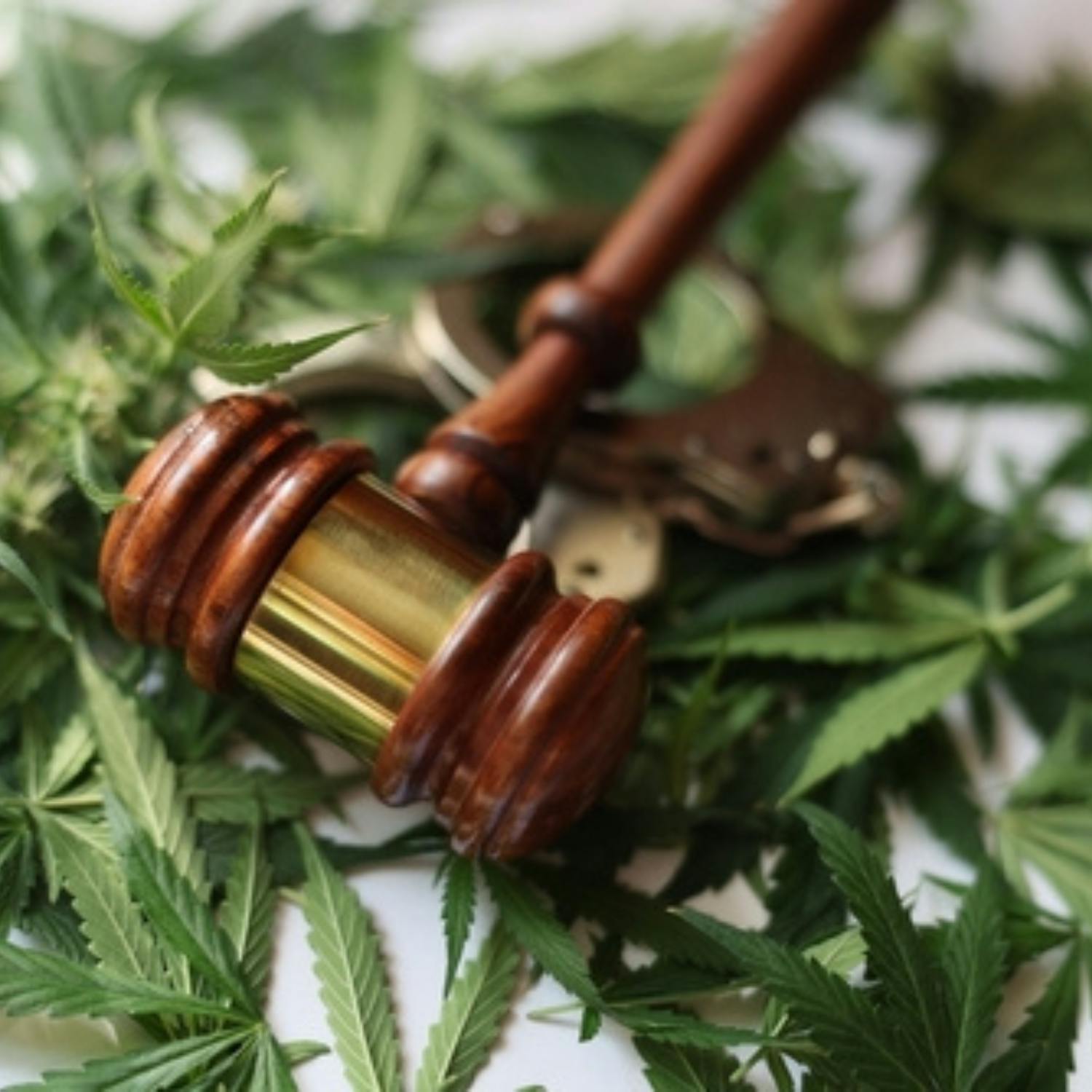 Is it time we decriminalised drug possession?
