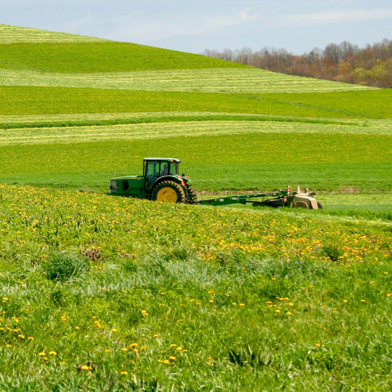 Could farmers be seeing more holidays? episode artwork