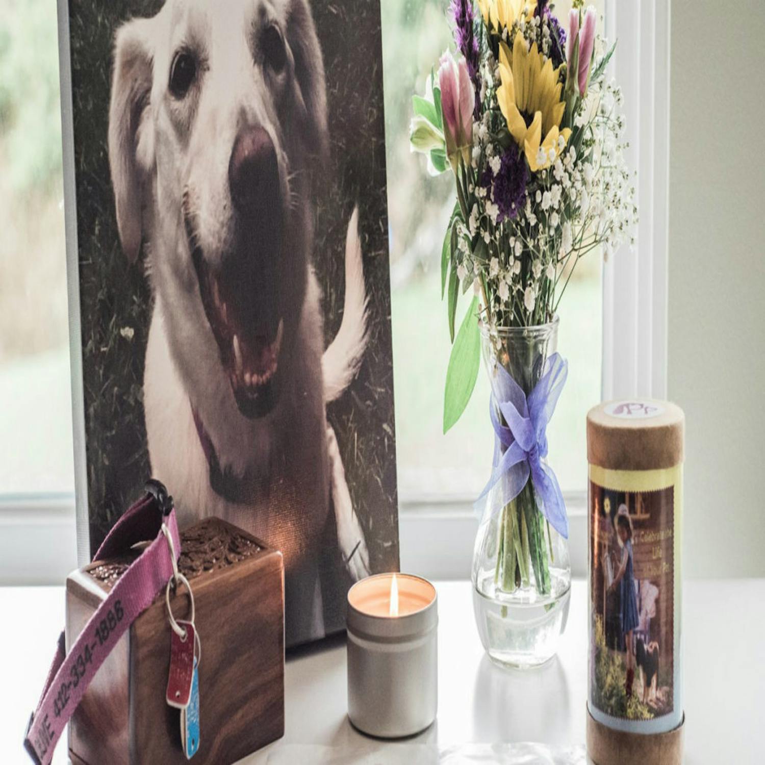 Loss of a pet - Pete the Vet Loss of a pet - Pete the Vet