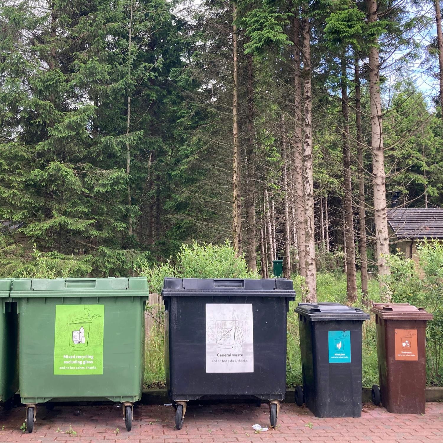 What to put in your bin