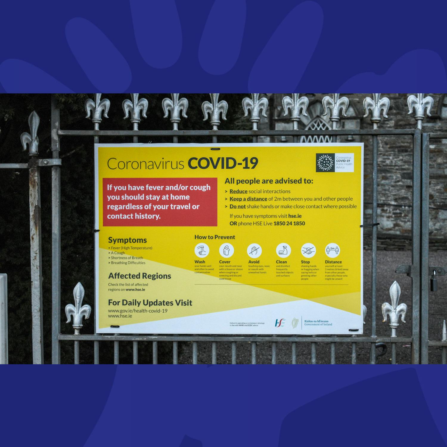 What Can We Learn From Our Behaviour During The Covid-19 Pandemic?