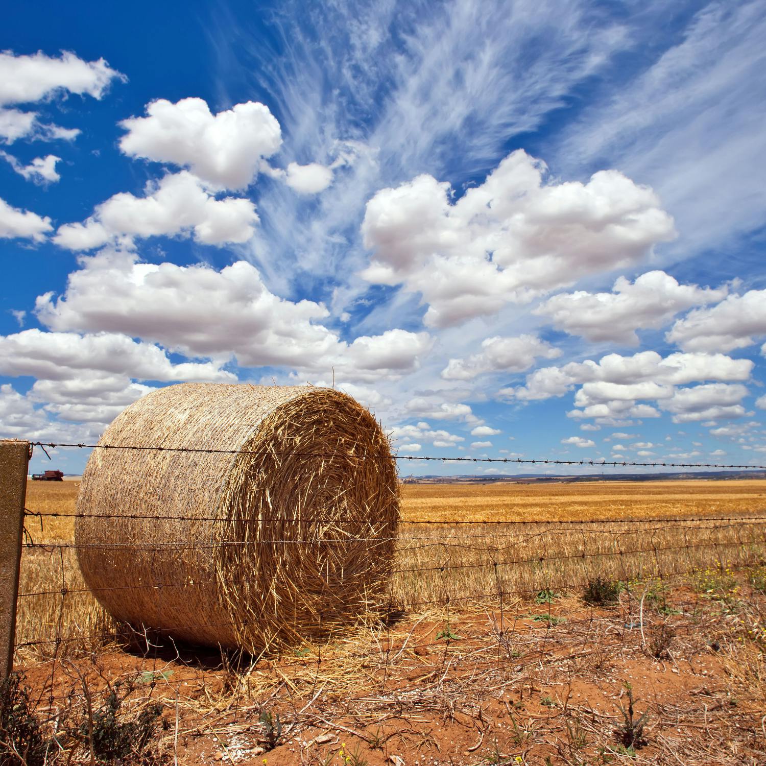 cover of episode Reducing climate emissions and improving on farm efficiency