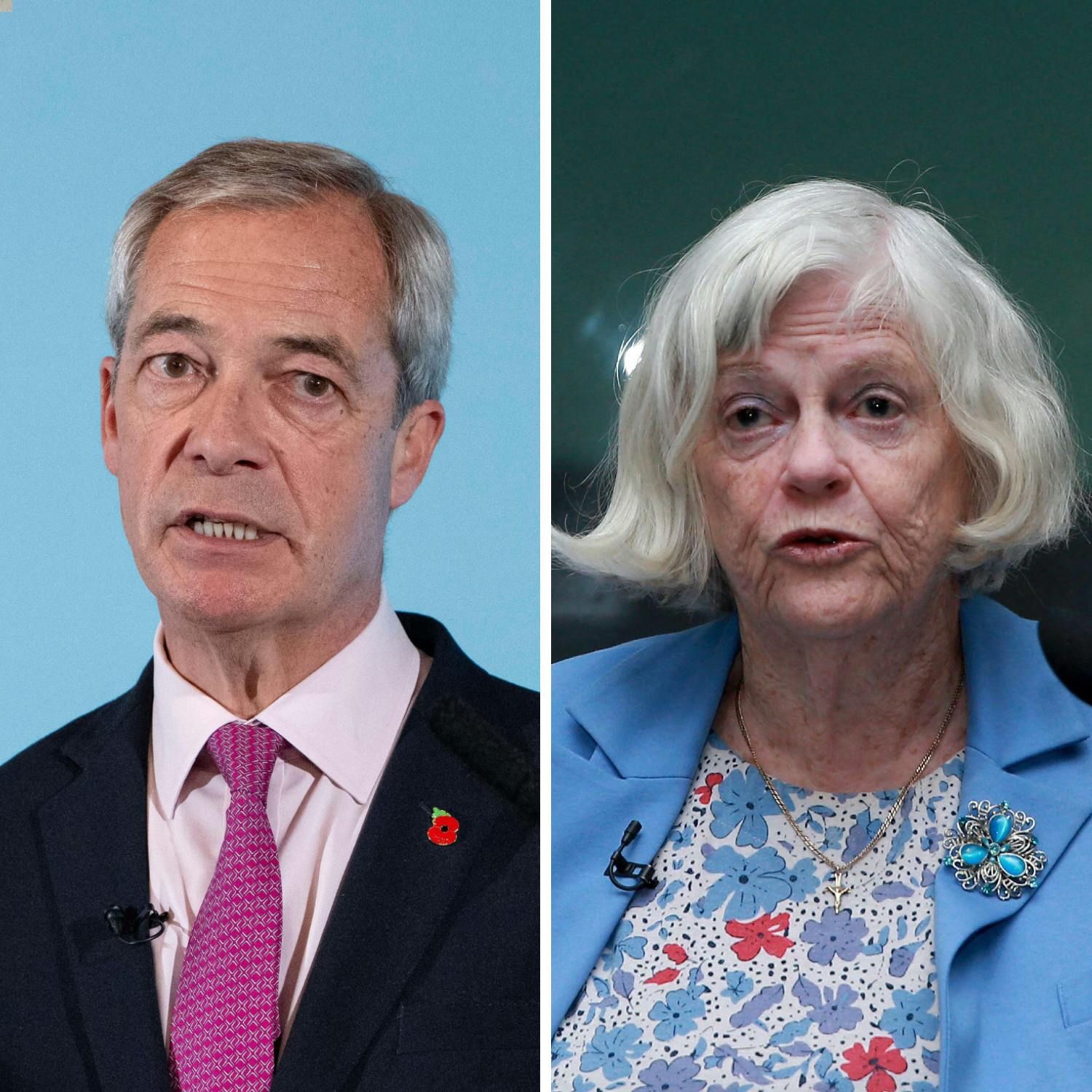 Nigel Farage incident: is it connected to Ann Widdecombe’s murder?