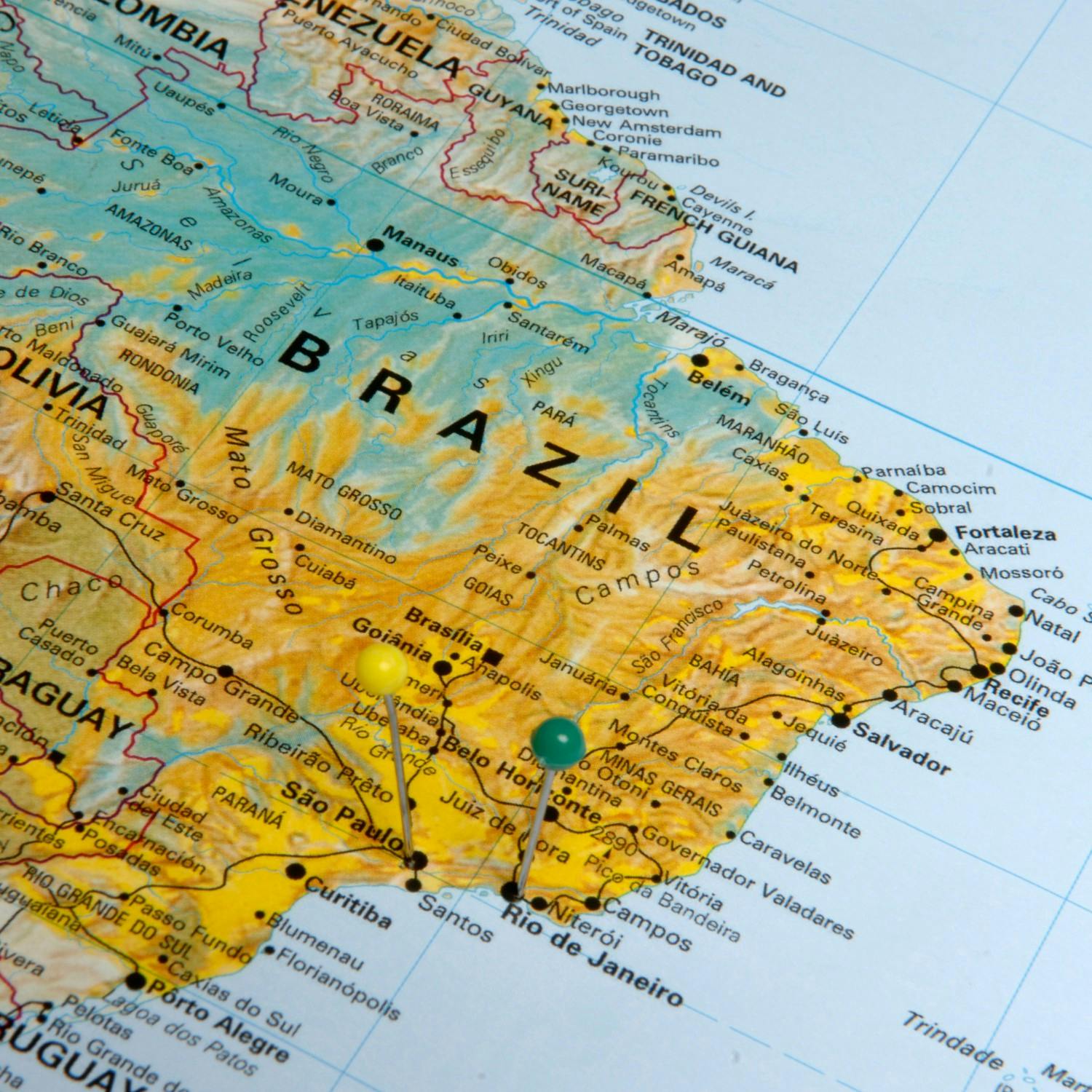 Brazil adds millions of cattle to its national herd Image