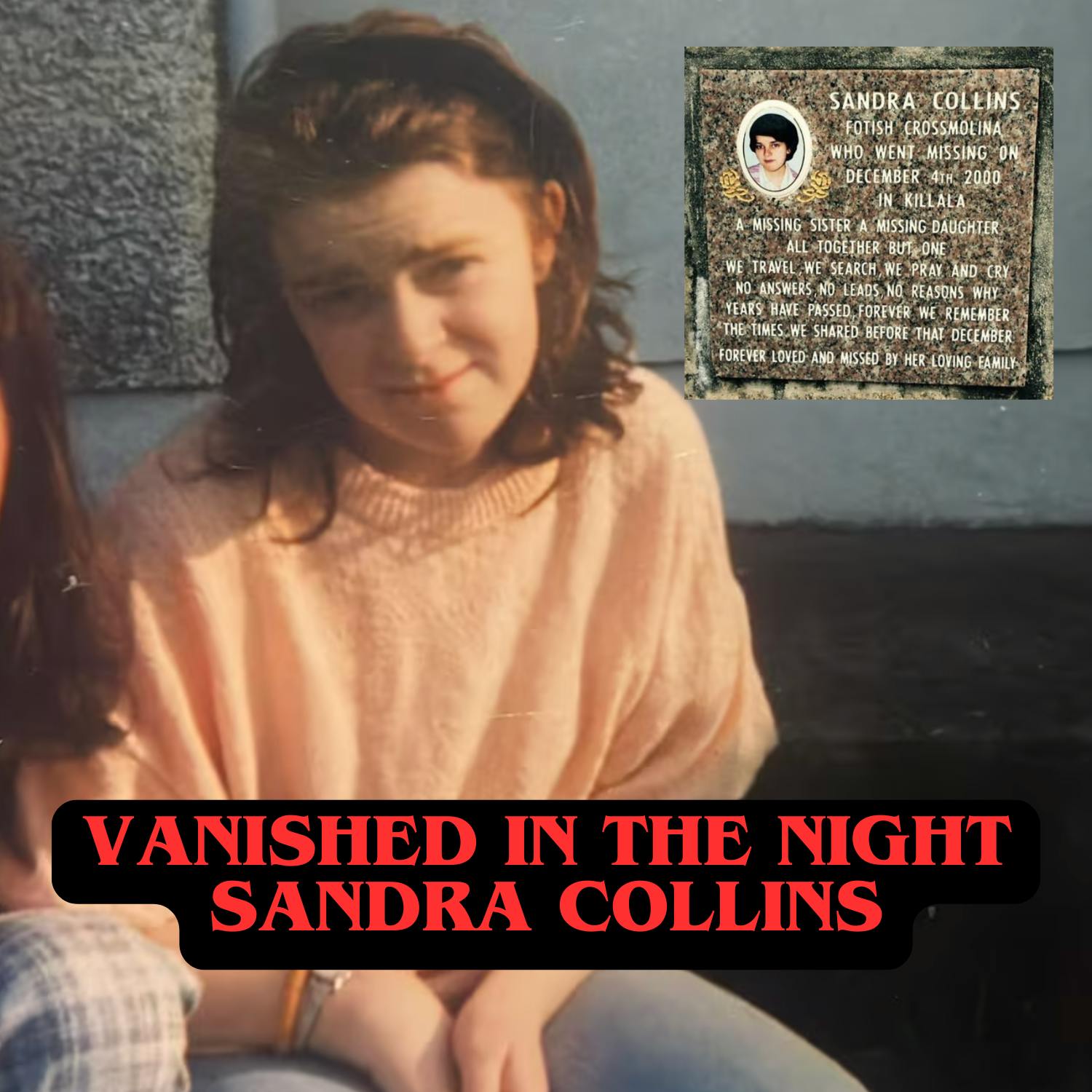 Vanished in the Night, Sandra Collins