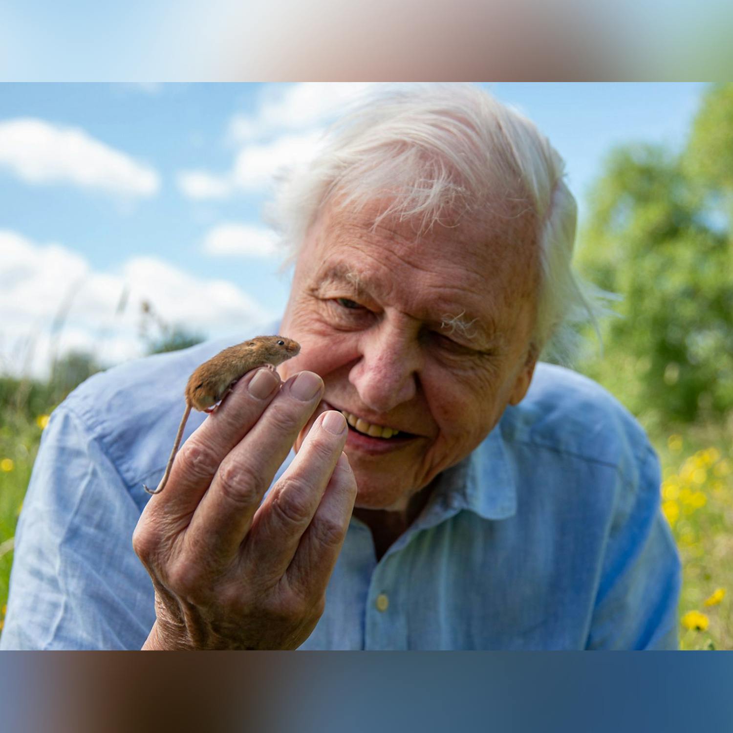 David Attenborough turns 100!