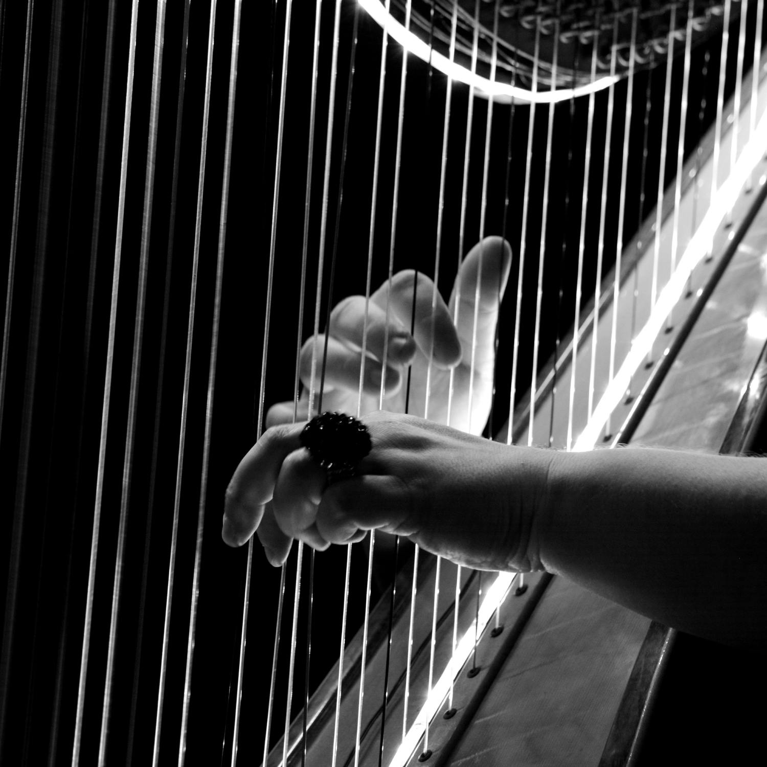 What is the symbol of Ireland?