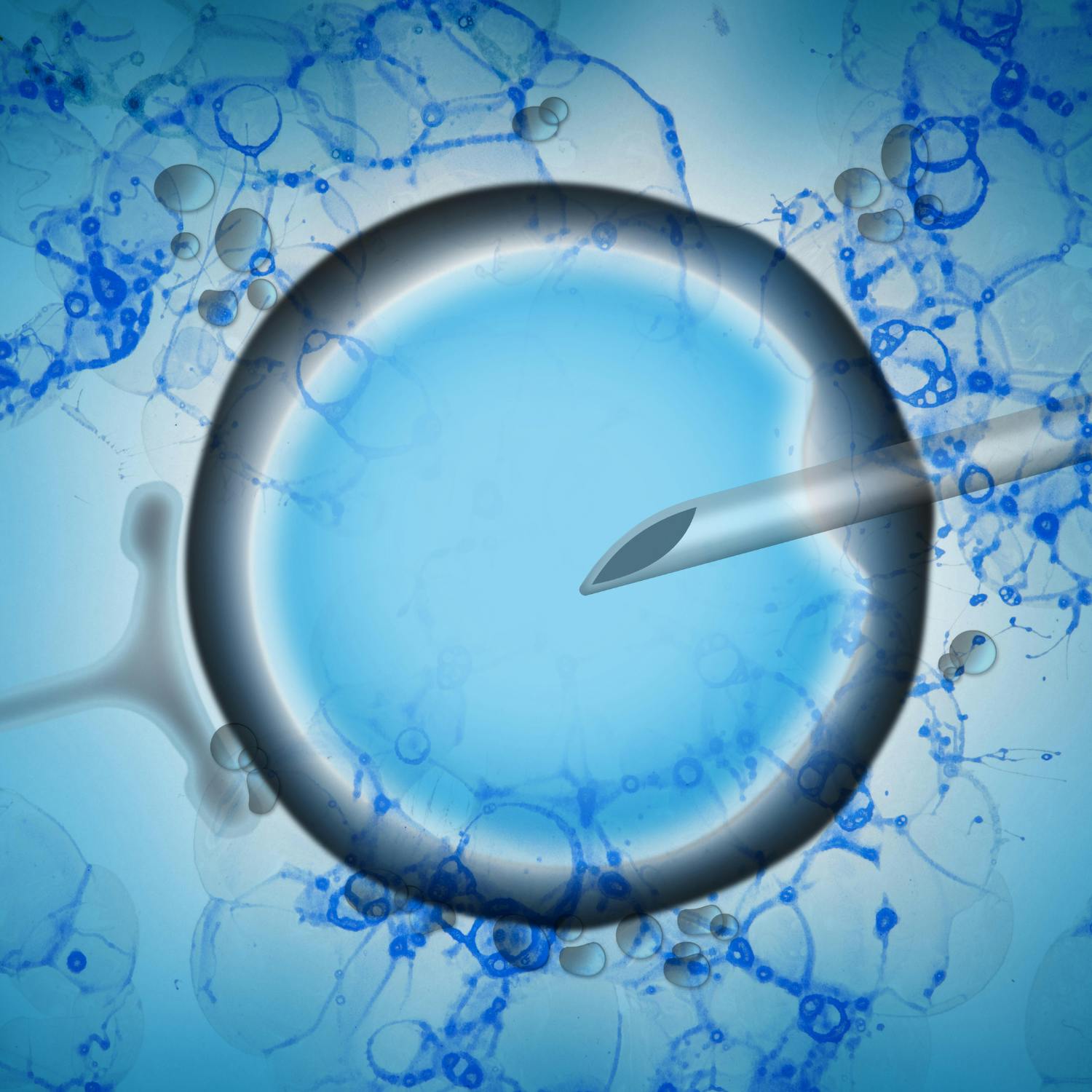 Six out of ten couples seeking fertility treatment Six out of ten couples seeking fertility treatment