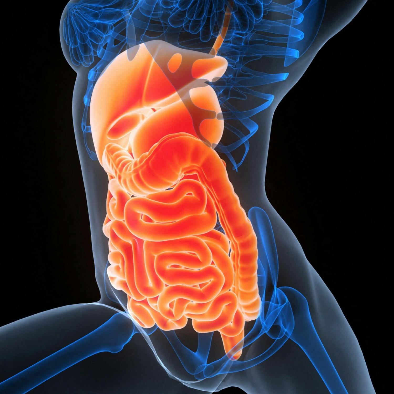 What’s behind the global increase in bowel disorders