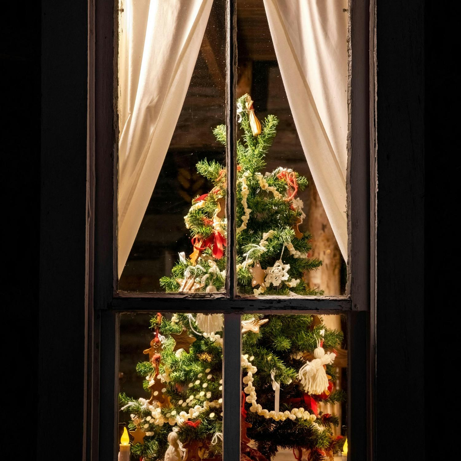 The story of the Christmas tree The story of the Christmas tree