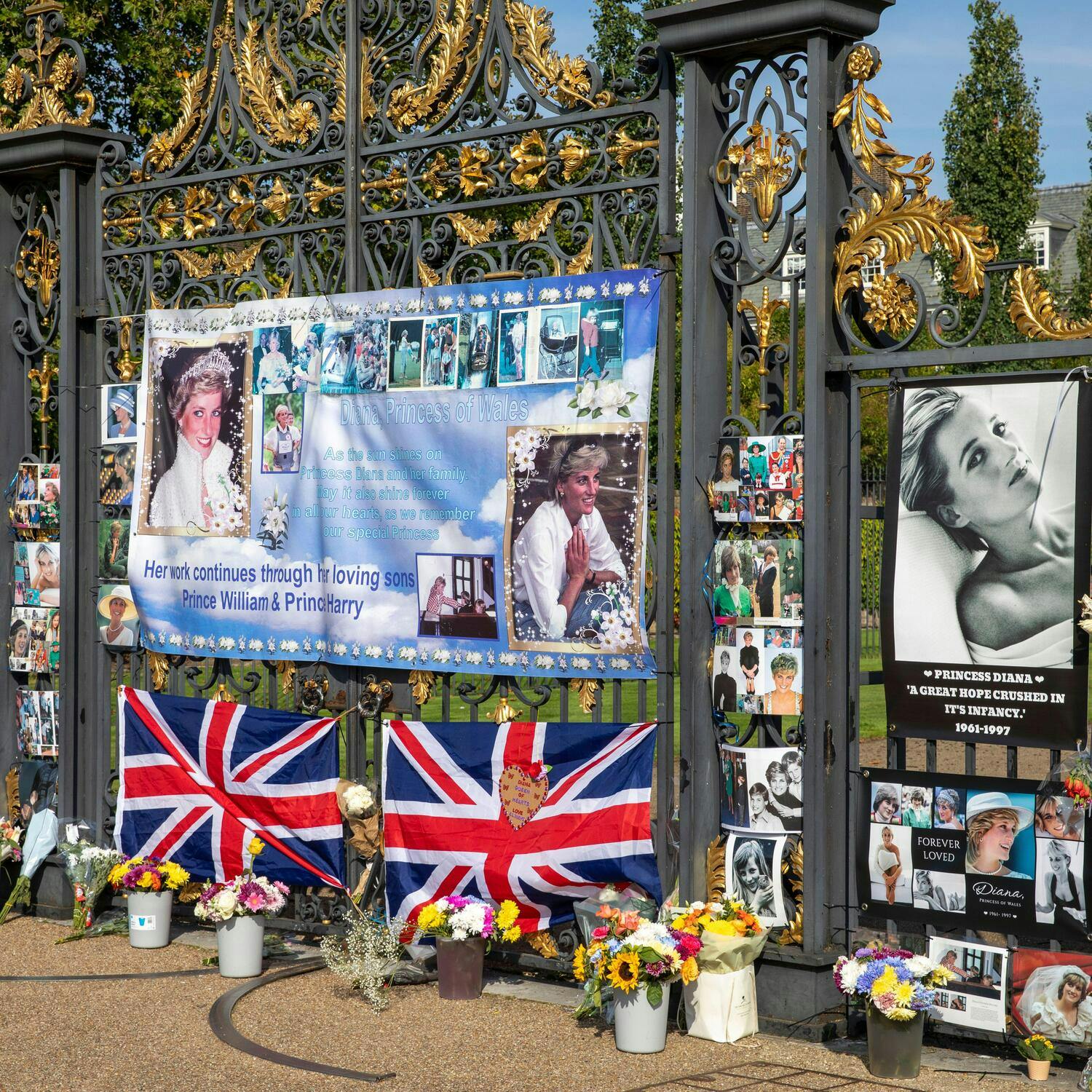 Diana’s Legacy: How has the British monarchy changed since her death?