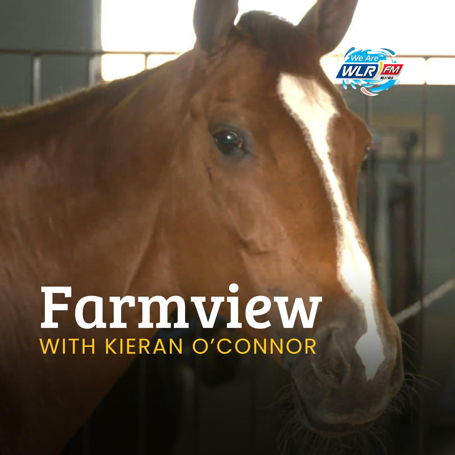 Farmview Jan 22nd Farmview Jan 22nd